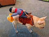 Yee-Haw! Cowboy Pet Costume